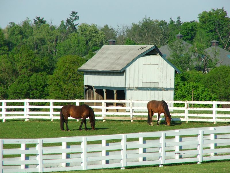 Equestrian Fence Installation